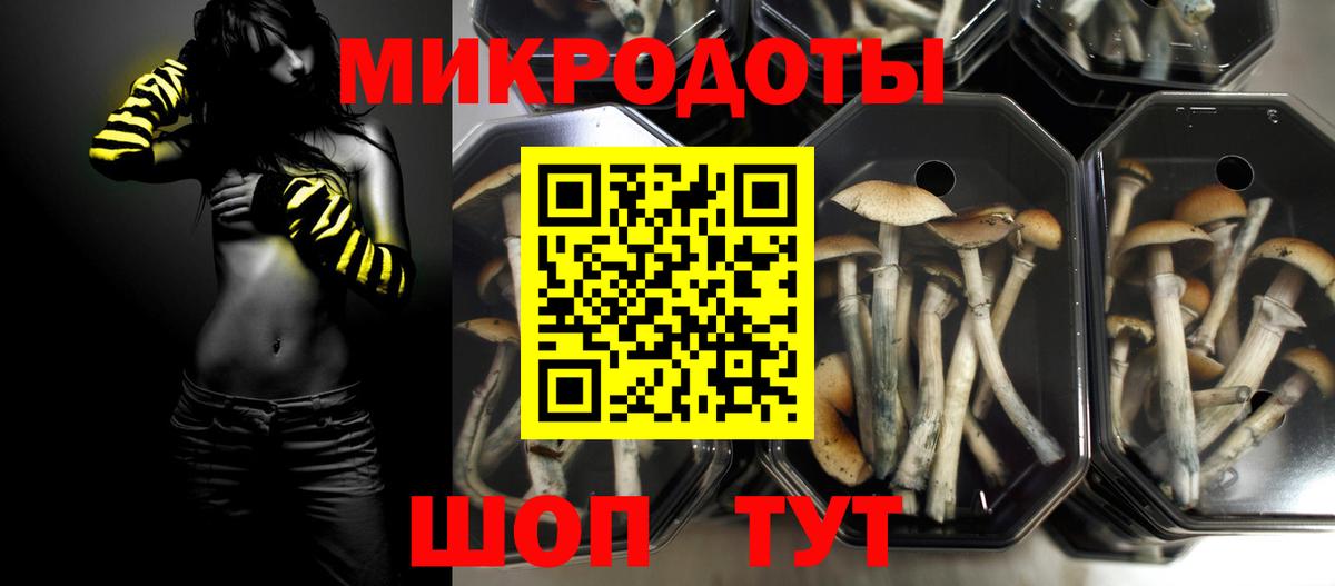 Галлюциногенные грибы Psilocybe  сколько стоит  Татарск  Псилоцибиновые грибы мицелий  Вход с VPN 